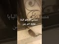 افتح البابا يالنادام 