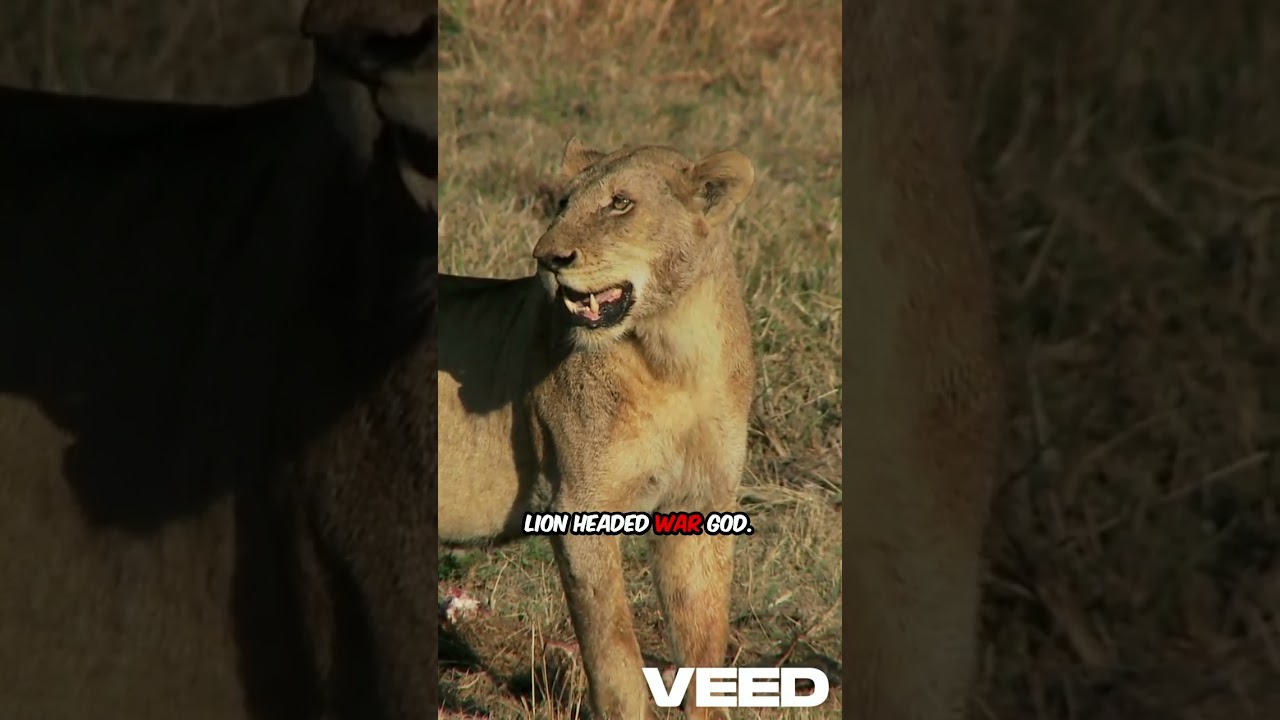 Kushite Divine Power Revealed - Part 6 - Religion & Beliefs