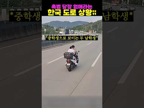 촉법 당장 없애라는 한국 <strong>도로</strong> 상황;;
