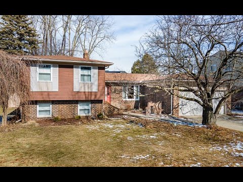 1441 Lila Drive, Troy, MI home video tour