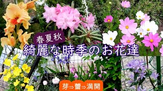 [2021][part1](春夏秋)庭の花の風景　芽⇒蕾⇒花の移り変わり