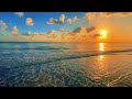 Dreamy Ocean Nights - Gentle Beach Sounds for Sleep Therapy