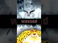 BloxFruits Leopard REWORK