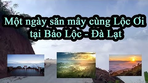 Săn mây núi Đại Bình Đèo Mây Lộc Thành Bảo Lộc - Du lịch sapa - Cùng Lộc Ơi săn mây bảo lộc.