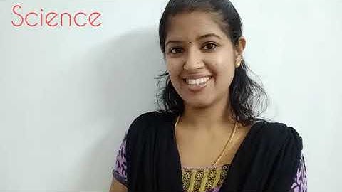 FROM DOODLEBUG TO TUSKER |CHAPTER 2 | GRADE 3 |EVS | PART 2