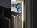 오늘도 (댓글참조),