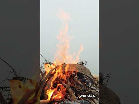 أيطول الهجر وأبقى دون لقاك