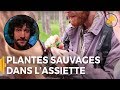 Des plantes sauvages dans ton assiette  florent  paris  les hautparleurs  cop21