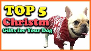 Top 5 Best Christmas Gifts for Your Dog in 2025
