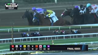 Watch Shared Belief In Santa Anitas Malibu Stakes G1