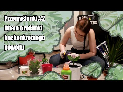 PRZEMYŚLUNKI #2 - Ludzie przesadzają, to ja też przesadzam