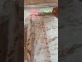 cara pembuatan pagar beton keliling kita simulasikan menggunakan bahan mini#bangunan@masalahbangunan