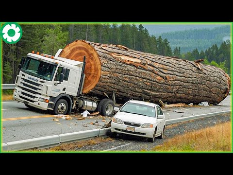 111 Extreme Dangerous Big Logging Wood Truck Driving Skill |  Biggest Heavy Machinery Machines