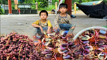 Orphan Boy go to forest catch crabs, pick figs go to the market to sell for money to buy daily food