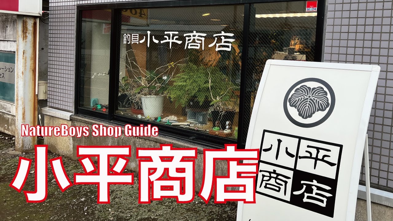 小平 商店