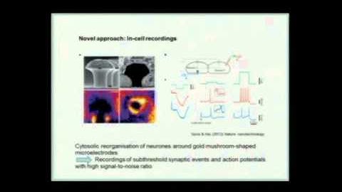 Nov, 23 (morning) - Random Graphs in the Brain