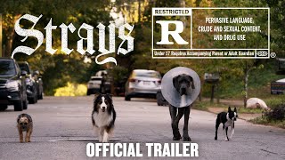 Strays | Official F***ing Trailer | Action Reflex Trailers and Movie Clips