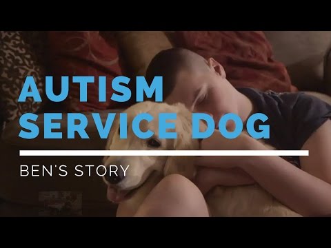 autism-service-dog-feature:-ben