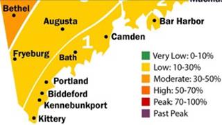 Newest fall foliage report