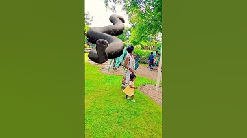 Big snake chasing baby 🐍😱 #shorts #bigsnake #snake