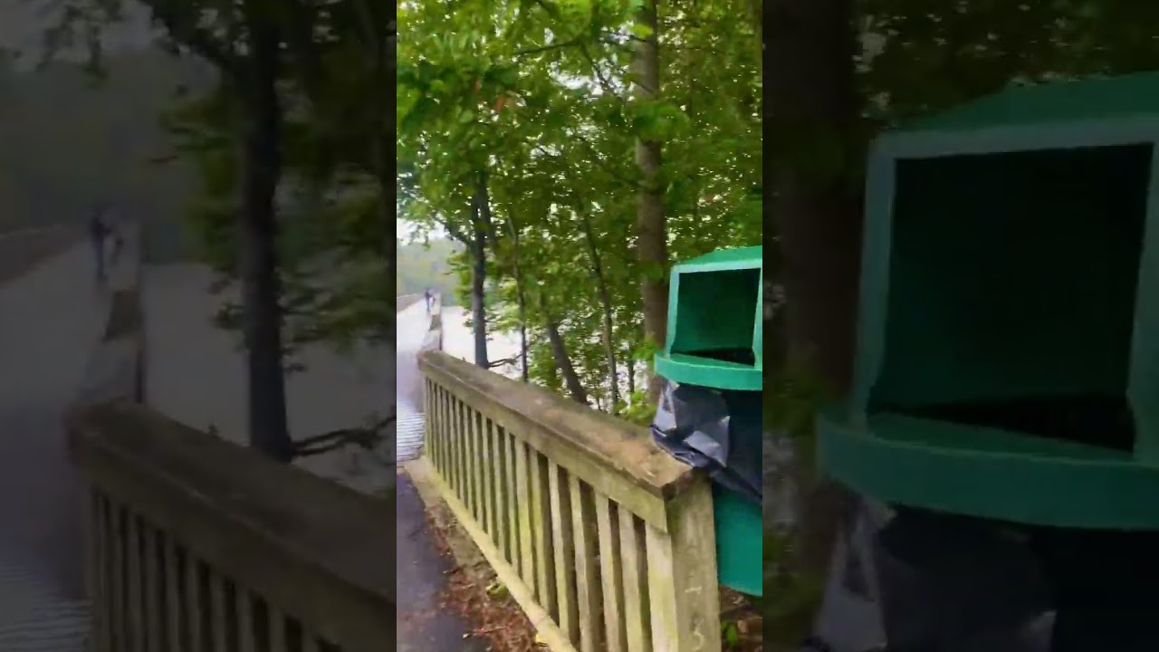 Lake Johnson Raleigh NC EEUU 🇺🇸