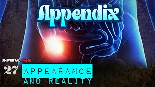 Appearance and Reality 27 | Appendix | Universal Game