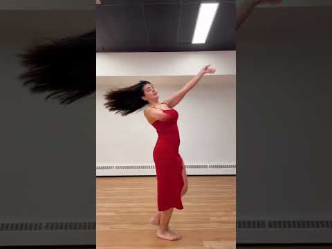 Bellydance Bellydancer