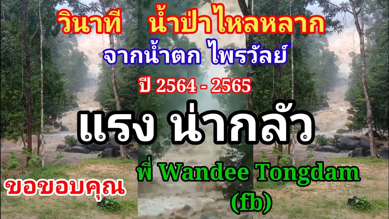 น้ํา ตก ไพร วัลย์ พัทลุง  New  น้ำป่าไหลแรงแค่ไหน น้ำป่าจากน้ำตกไพรวัลย์