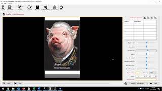 How to Set Up FOREVER TransferRIP for Laser Dark 11.8" x 19" screenshot 1