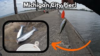 Michigan City Pier Fishing: Chasing Steelhead & Bait Fish! (How To Catch Steelhead on pier!)