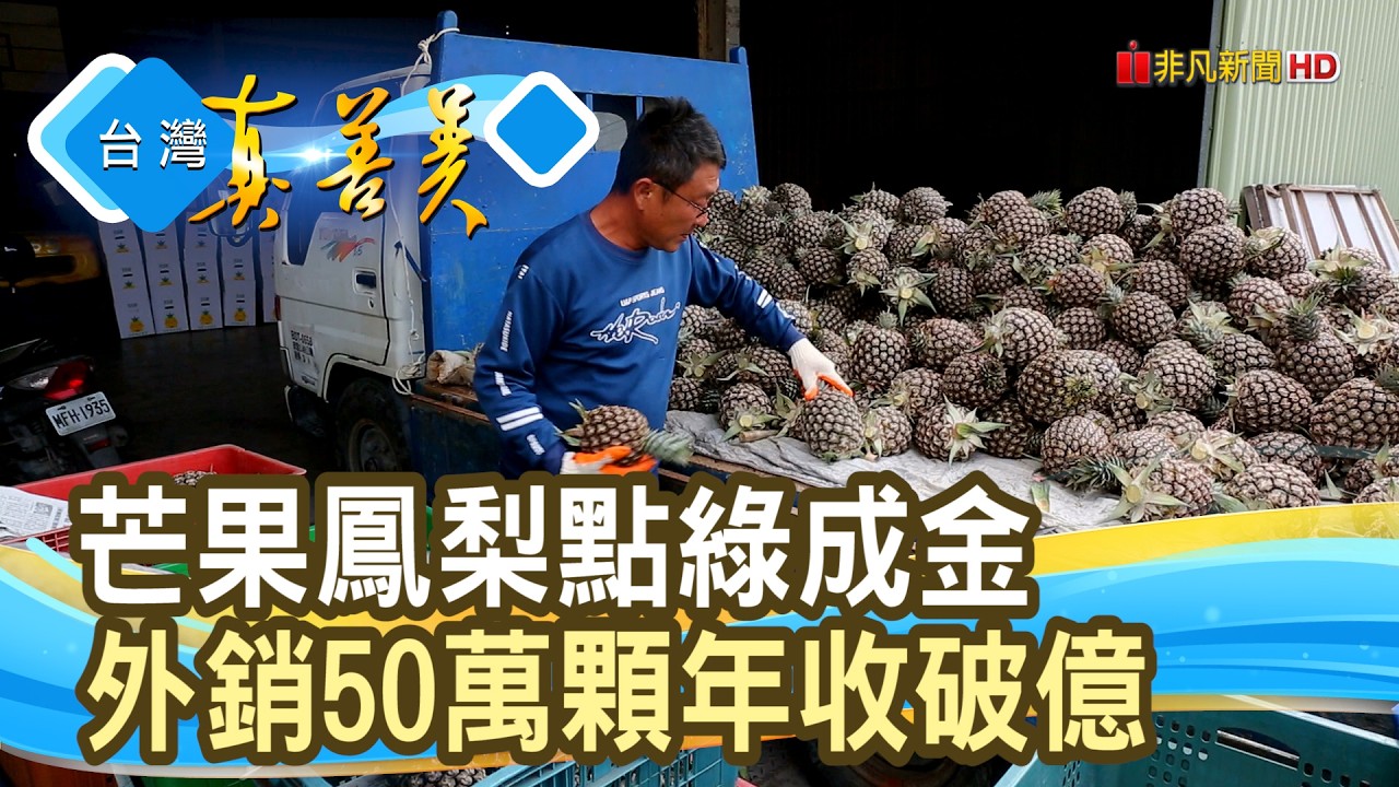 外銷搶手貨“芒果鳳梨”｜我是鳳梨爸爸｜【台灣真善美】2026.03.01