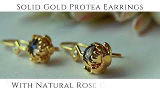 INTRODUCING - The Petite Protea Range