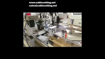 Double wire pressing three head end machine, automatic power cord crimping crimping terminal machine