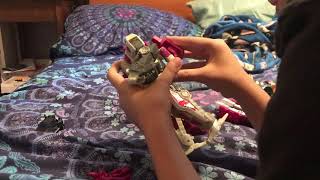 Review 31 power of the primes abominus
