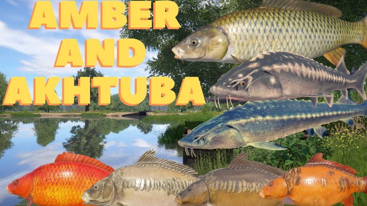 Russian Fishing 4 | 8kg Red Starvas Mirror and 20kg TROPHY Common Carp (TimeStamp in Comment)