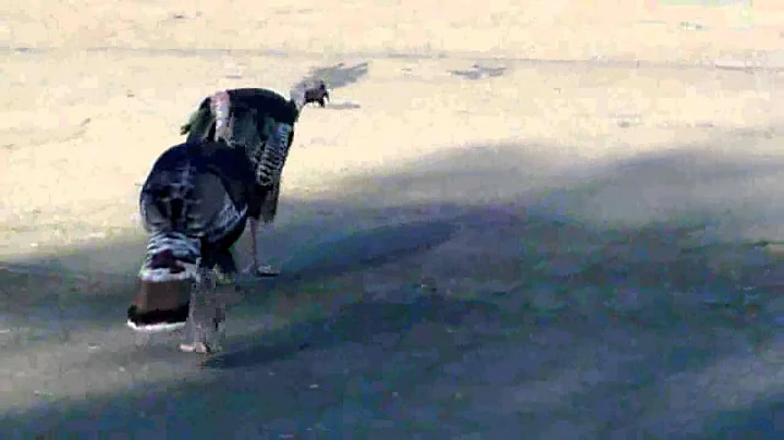 California Turkeys Play Chicken
