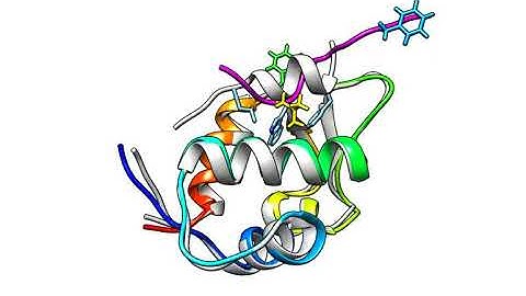 Bridging Micro- and Macroscopic Mechanisms of p53-MDM2 Binding Using Mol. Simulations & Kinetic...