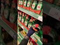 Part 50 | POV stacking shelf’s for 10 hours