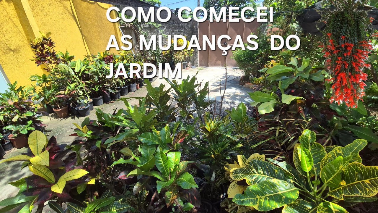 NUNCA IMAGINEI QUE O MEU QUINTAL FICARIA ASSIM🌿🌿🌿INÍCIO DA MUDANÇA 