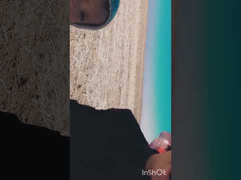 يا رفيق العمر ودربي تصميم فيديوهات شاشة سوداء للتصميم لايك ترند اكسبلور