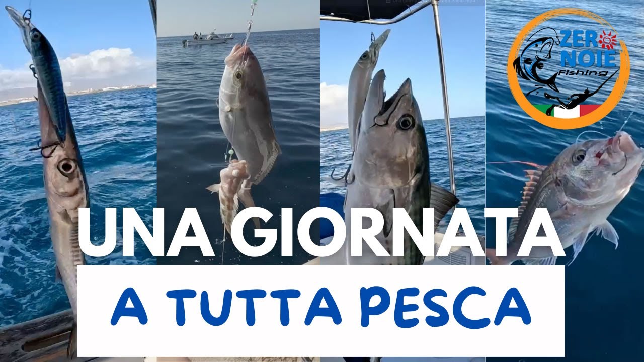 Barracuda, Ricciola, Parago, Palamita, Corvina.. di tutto di più!