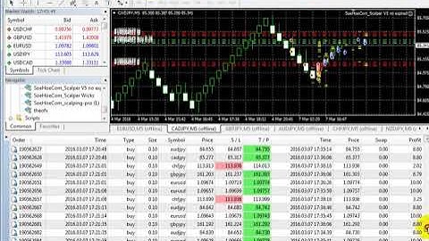 Scalping Forex Robot live Trading Best Forex EA Part 02 | Download