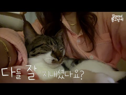 다들 잘 지내셨나요?