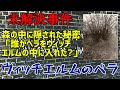 【未解決事件】UNSOLVED File No.09 ウィッチエルムのベラ【ゆっくり解説】