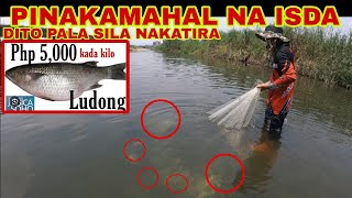 PINILIT NAMING HULIHIN ANG PINAKAMAHAL NA ISDANG LUDONG O PRESIDENT FISH 5K TO 6K PER KILO by   BRO ALVIN   12,759 views 6 days ago 43 minutes