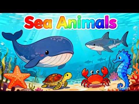 Sea Animals Baby Cartoon | Educational Toddler Learning Video | Kids Songs & Nursery Rhymes