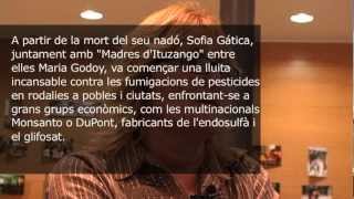 Els Cultius Transgènics De Soja