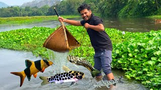 Unique Catfish Catching in Thailand Rivers???😜😜