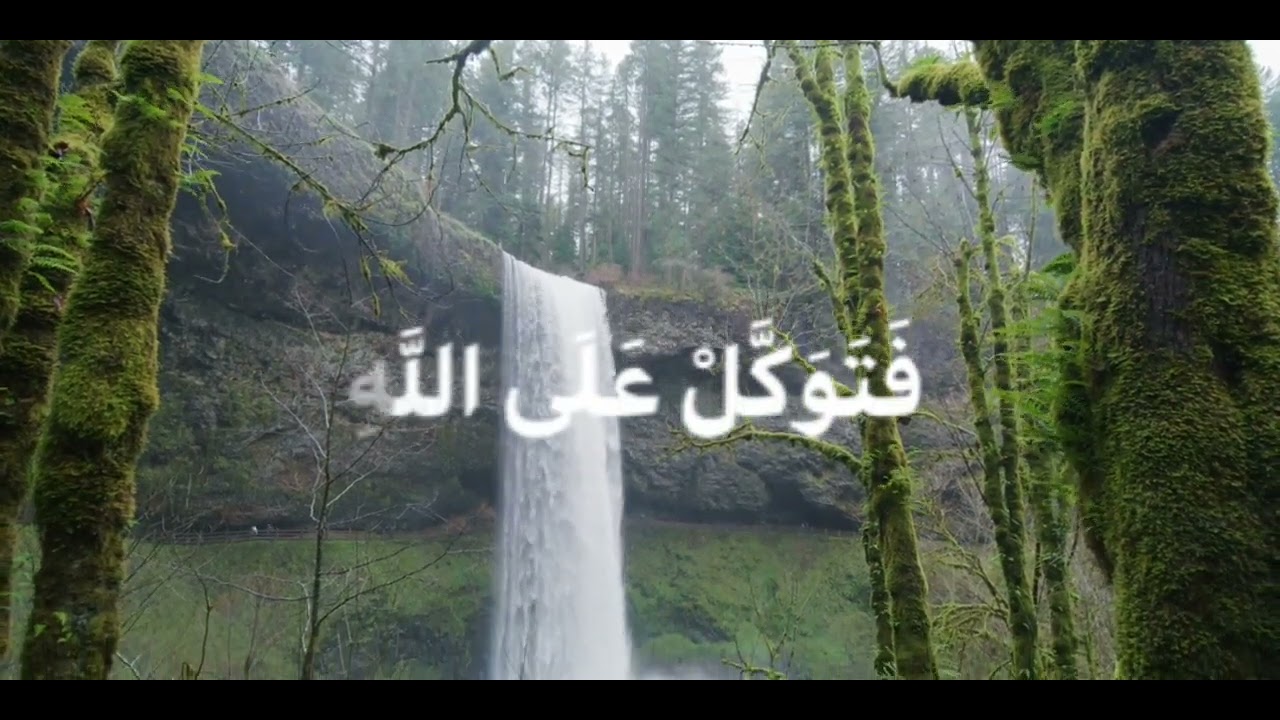 YouTube youtube
