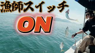 vol360 突然の〇〇で入れ食い確定！One Mackerel Changed Everything #広島釣り#釣り夫婦#ボートフィッシング#撒き餌#サビキ釣り
